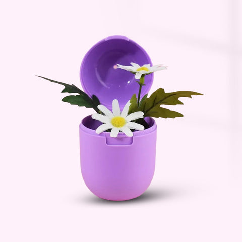 Purple Menstrual Cup Sterilization Box | Collapsible Medical Grade Silicone Menstrual Cup Sterilizer & Storage Case